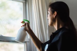 Close-up of professional squeegee cleaning technique for streak-free home window cleaning lees summit